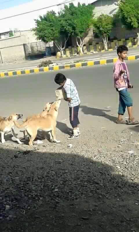 Children sharing water with stray dog